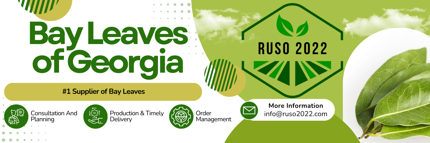 Ruso 2022 LLC