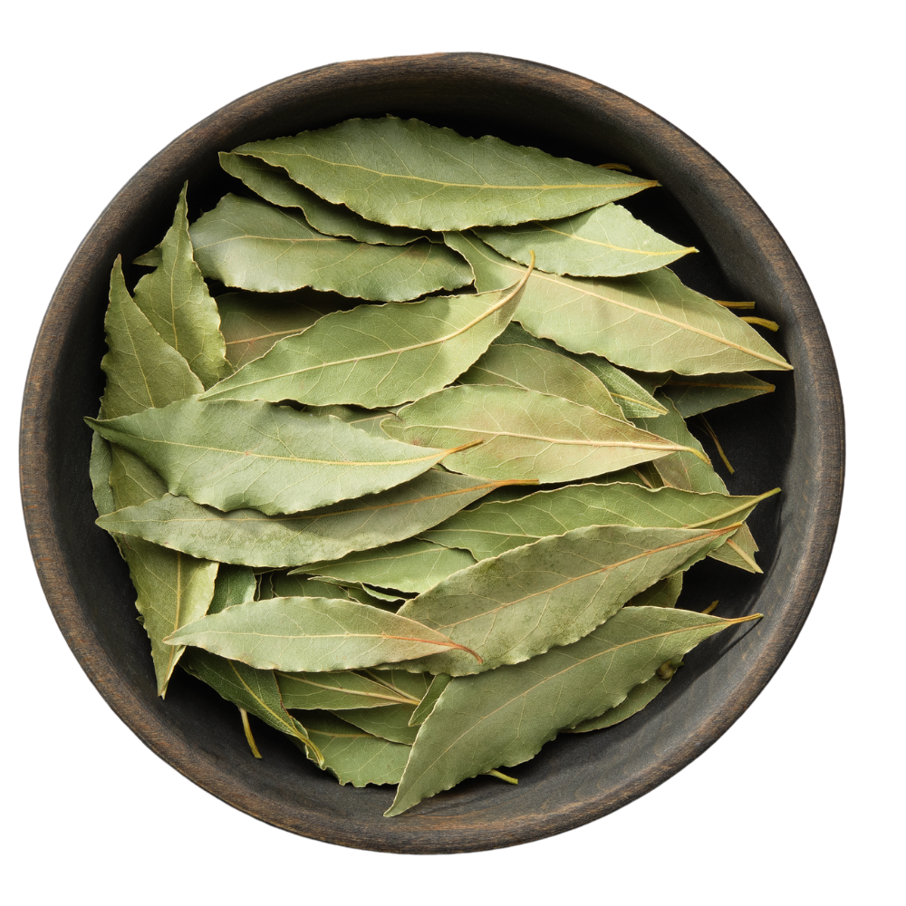 Tuna-Project-Laurel-Bay-Leaves2 Tuna Project Laurel Leaves Bay Leaves in Bowl